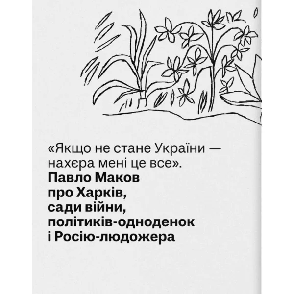 Windmills and Don Quixote. Ukrainian Truth 25