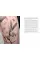 New Tattoo Artists. Illustrators and Designers Meet Tattoo