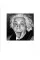 Malkovich Malkovich Malkovich : Homage to Photographic Masters