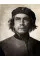 Malkovich Malkovich Malkovich : Homage to Photographic Masters