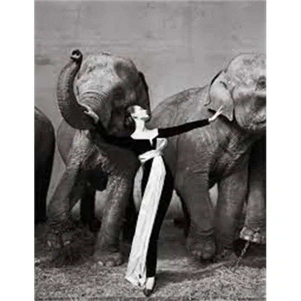 Richard Avedon. Relationships