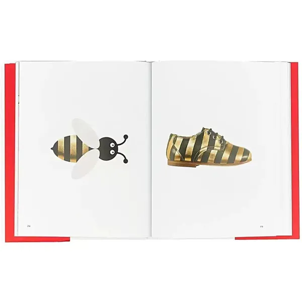 Italian Shoes : A Tribute to an Iconic Object