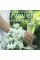 Flowers in Love II