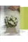 Flowers in Love II