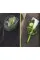 Flowers in Love II