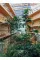 Botanical Buildings . When Plants Meet Architecture