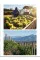 150 Vineyards You Need to Visit Before You Die