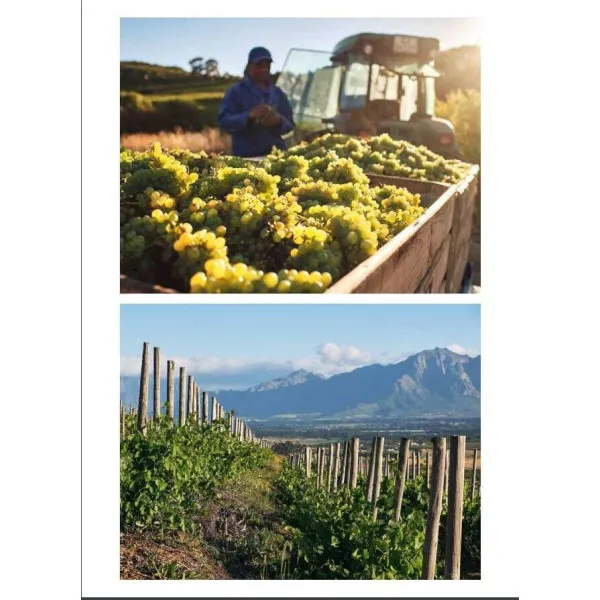 150 Vineyards You Need to Visit Before You Die