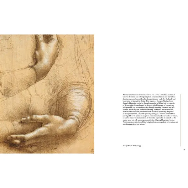 Leonardo in Detail 