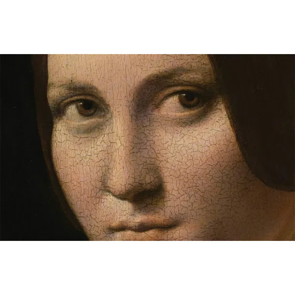 Leonardo in Detail 