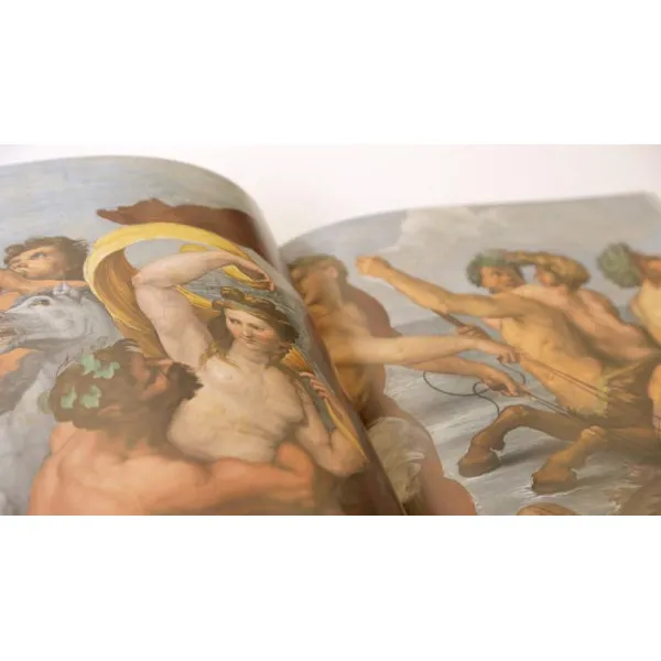 Raphael in Detail
