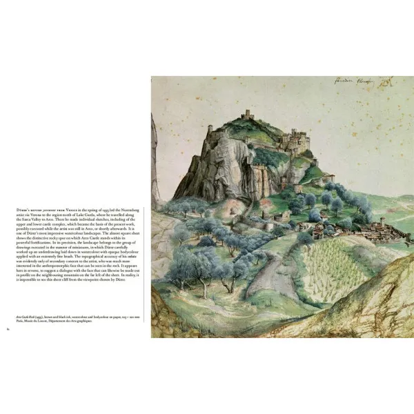 Durer in Detail