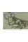 Durer in Detail