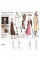Poses for Fashion Illustration (Card Box)